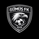 gümüş
